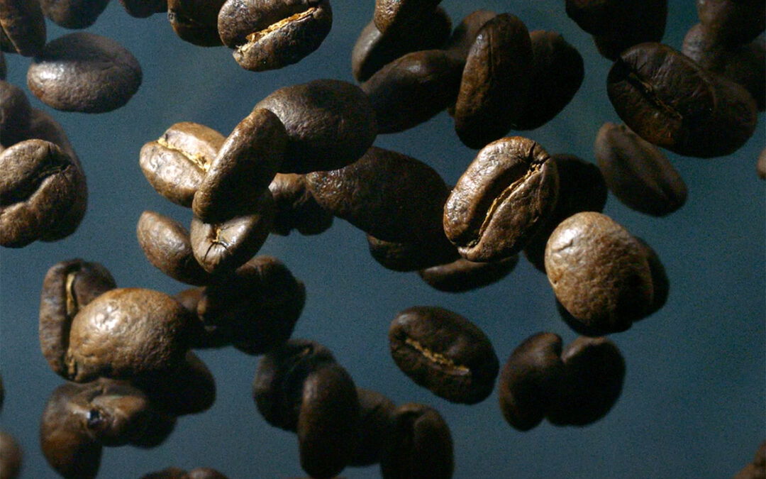 TORRCAFFE’ – BIO 2023