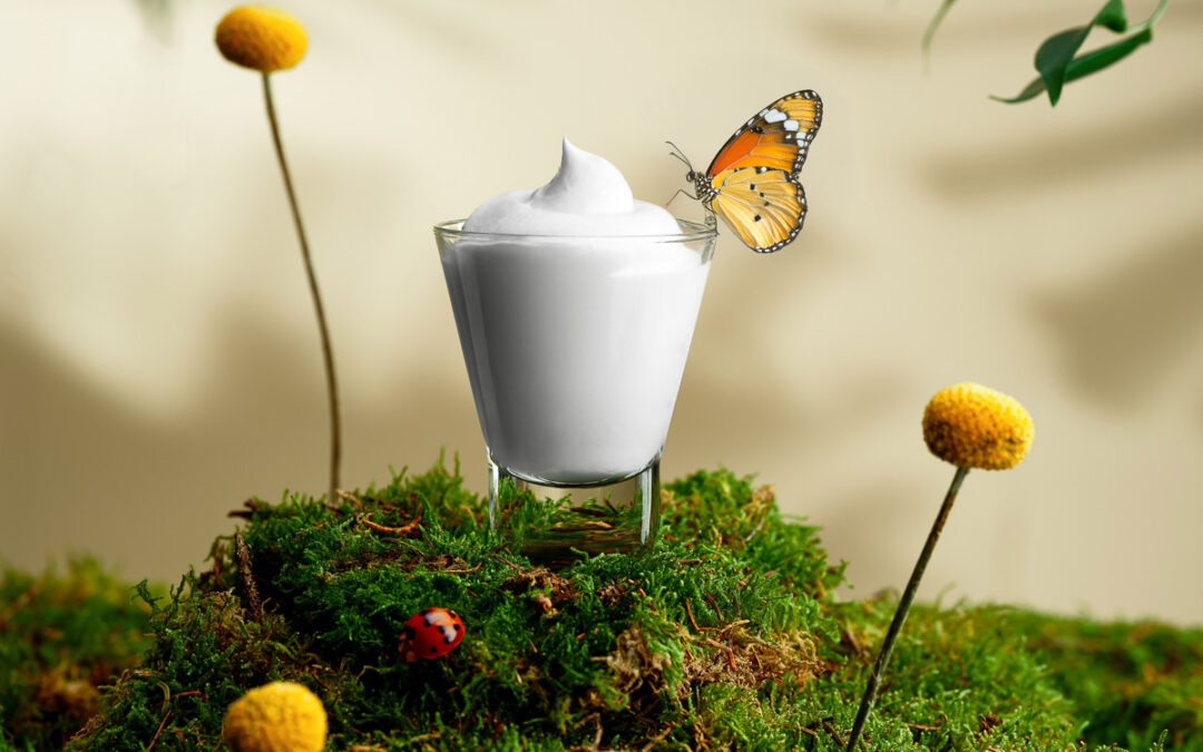 FOODNESS – CREME FREDDE